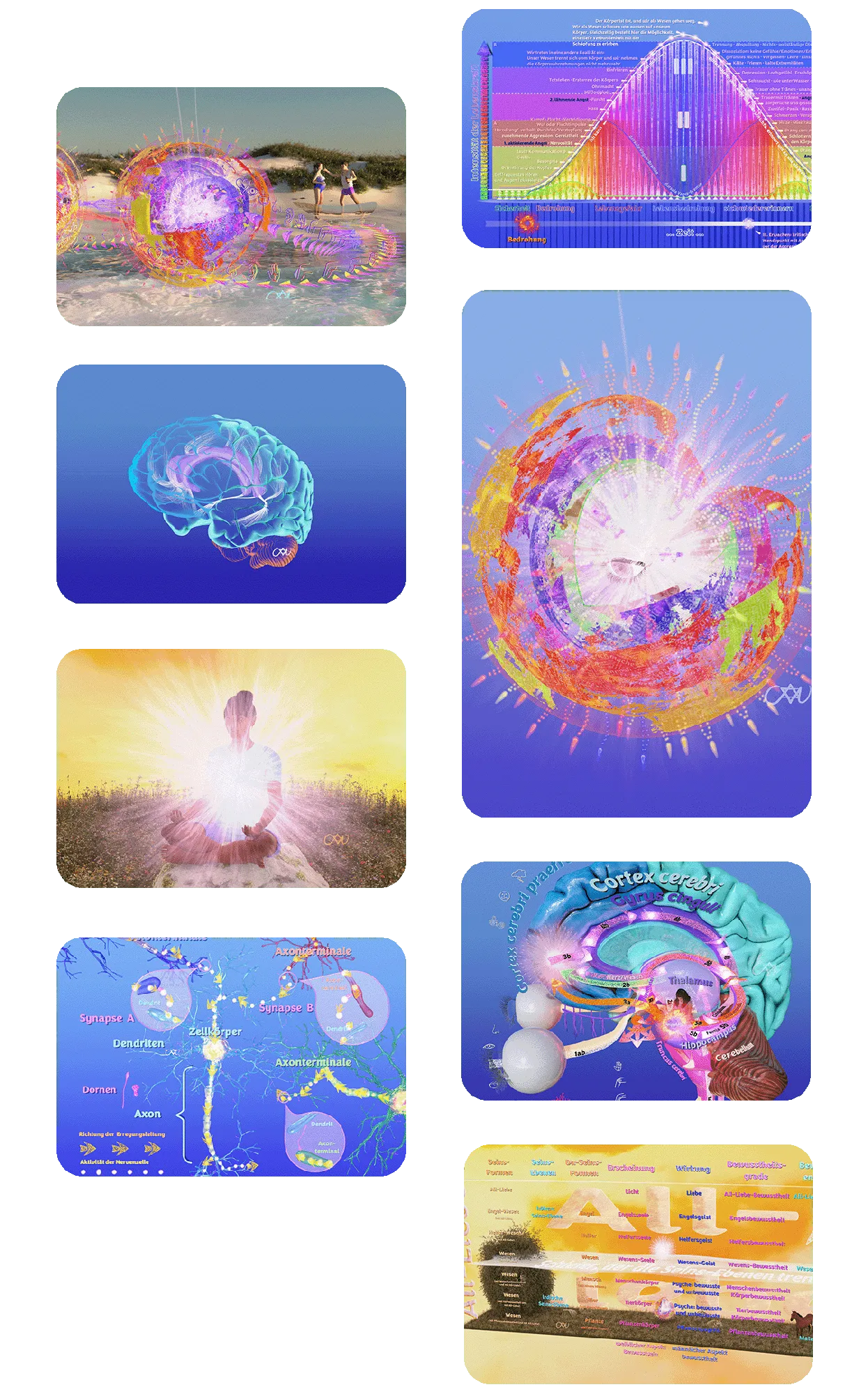 Grafiken vom Buch: Wesens-Bewusst-Sein • Wer und was bin ich?